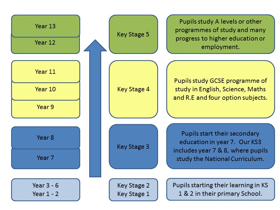 curriculum-model2
